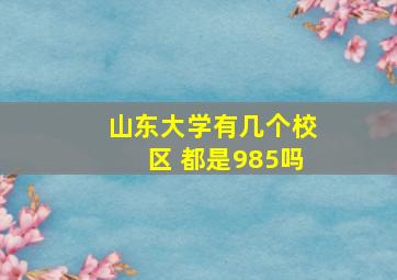 山东大学有几个校区 都是985吗